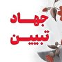 نبض جهاد تبیین چگونه می‌زند؟!