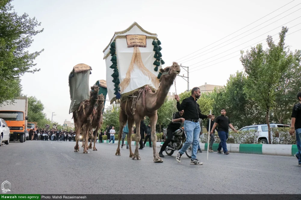 قافله عزای ورود کاروان نمادین امام حسین علیه السلام به کربلا