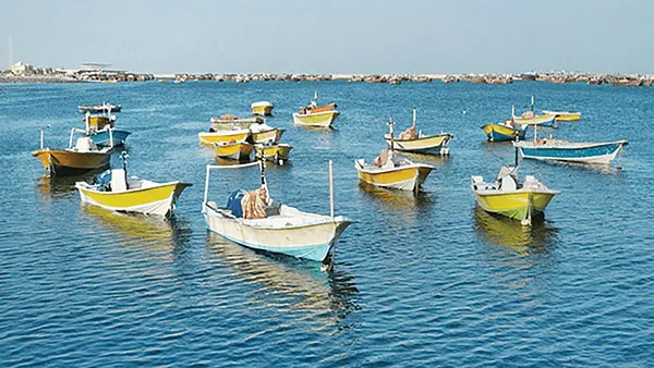 سرنوشت مرموز ۹ صیاد در دریا
